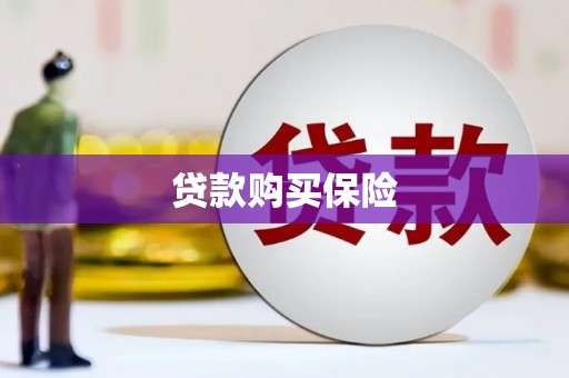 巴里坤贷款购买保险