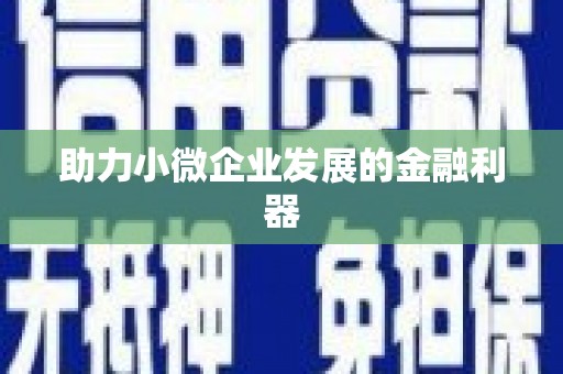 巴里坤助力小微企业发展的金融利器