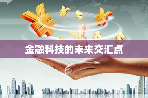 巴里坤金融科技的未来交汇点