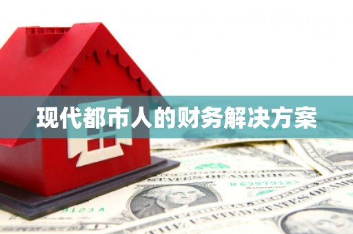 巴里坤现代都市人的财务解决方案