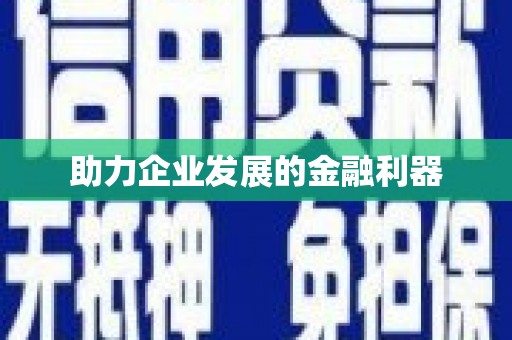 巴里坤助力企业发展的金融利器