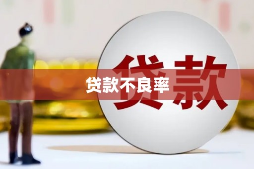 巴里坤贷款不良率