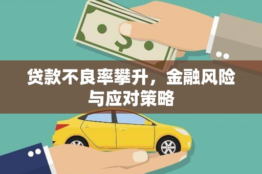 巴里坤贷款不良率攀升，金融风险与应对策略